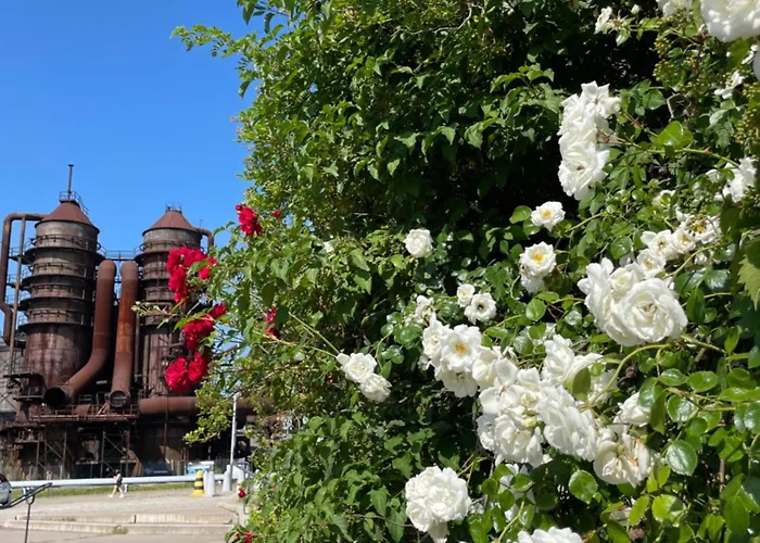 Fifejdy, Ostrava, Centrum Διαμέρισμα Οστράβα